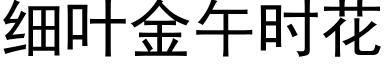 细叶金午时花 (黑体矢量字库)