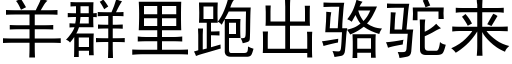 羊群裡跑出駱駝來 (黑體矢量字庫)