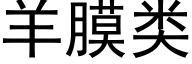 羊膜類 (黑體矢量字庫)