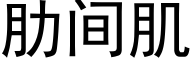 肋間肌 (黑體矢量字庫)