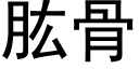 肱骨 (黑体矢量字库)