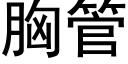 胸管 (黑體矢量字庫)