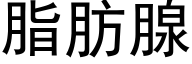 脂肪腺 (黑體矢量字庫)