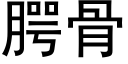 腭骨 (黑体矢量字库)