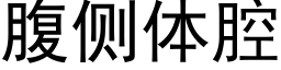 腹側體腔 (黑體矢量字庫)