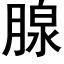 腺 (黑體矢量字庫)