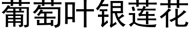 葡萄叶银莲花 (黑体矢量字库)