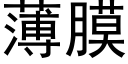 薄膜 (黑体矢量字库)