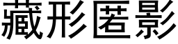 藏形匿影 (黑体矢量字库)