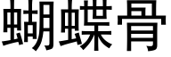 蝴蝶骨 (黑体矢量字库)