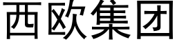 西欧集团 (黑体矢量字库)