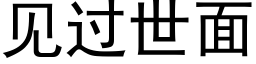 見過世面 (黑體矢量字庫)