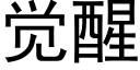 覺醒 (黑體矢量字庫)