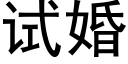 試婚 (黑體矢量字庫)