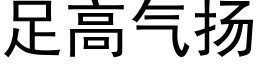 足高气扬 (黑体矢量字库)