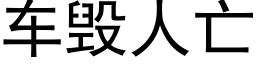 车毁人亡 (黑体矢量字库)