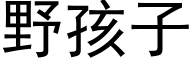 野孩子 (黑体矢量字库)