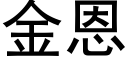 金恩 (黑體矢量字庫)