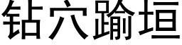 钻穴踰垣 (黑体矢量字库)