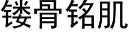 镂骨銘肌 (黑體矢量字庫)