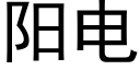 阳电 (黑体矢量字库)