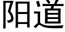 陽道 (黑體矢量字庫)