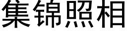 集锦照相 (黑体矢量字库)