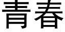 青春 (黑體矢量字庫)