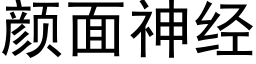 颜面神经 (黑体矢量字库)