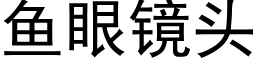 鱼眼镜头 (黑体矢量字库)