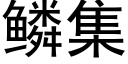 鱗集 (黑體矢量字庫)