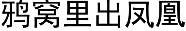 鸦窝里出凤凰 (黑体矢量字库)