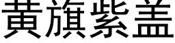 黄旗紫盖 (黑体矢量字库)