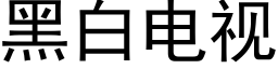 黑白電視 (黑體矢量字庫)