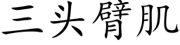 三頭臂肌 (楷體矢量字庫)