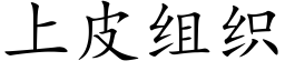 上皮組織 (楷體矢量字庫)