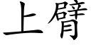 上臂 (楷體矢量字庫)