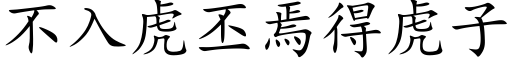 不入虎丕焉得虎子 (楷體矢量字庫)