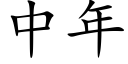 中年 (楷体矢量字库)