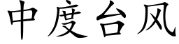 中度台风 (楷体矢量字库)