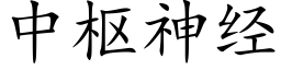 中樞神經 (楷體矢量字庫)