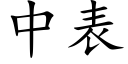 中表 (楷体矢量字库)