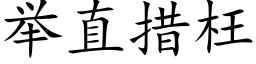 舉直措枉 (楷體矢量字庫)