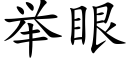 举眼 (楷体矢量字库)