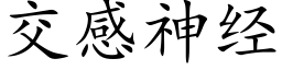 交感神經 (楷體矢量字庫)