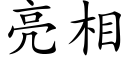 亮相 (楷体矢量字库)