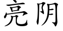 亮阴 (楷体矢量字库)