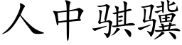 人中骐骥 (楷体矢量字库)