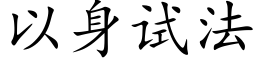 以身试法 (楷体矢量字库)