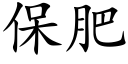 保肥 (楷體矢量字庫)